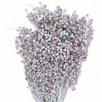 Article Baies de poivre enneigé, décoration hivernale, fleurs séchées, Avent, poivre rose lavé blanc 170g