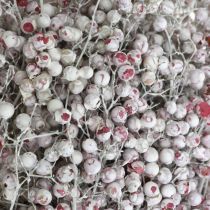 Article Baies de poivre enneigé, décoration hivernale, fleurs séchées, Avent, poivre rose lavé blanc 170g