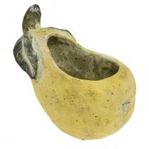 Article Poire à planter, décoration d&#39;automne, vase en béton L19cm H15.5cm