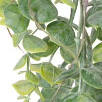 Article Guirlande d'eucalyptus artificiel suspendue, plante décorative intérieure et extérieure, 92 cm