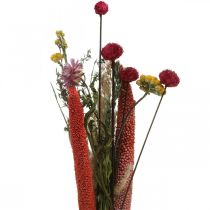 Bouquet de fleurs séchées fleurs des prés rose DIY set H30-35cm
