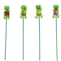 Article Bouchons pour plantes grenouilles bouchons de fleurs décoratifs 24cm 16 pcs