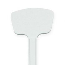 Article Etiquette plante 36cm 10pcs.