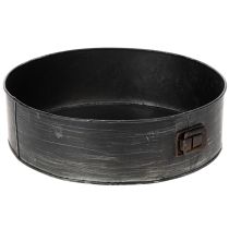 Article Pot de fleurs, moule à pâtisserie décoratif, moule à charnière pour plantation, décoration en métal Ø24cm H7,5cm