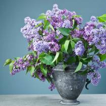 Pot de fleurs Vintage Ø20cm H35cm