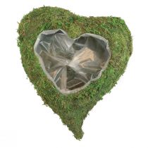 Coeur de plante mousse verte bol à plantes coeur 20x20x5.5cm