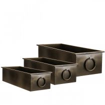 Article Jardinière en métal et laiton 59/53/47 cm Lot de 3