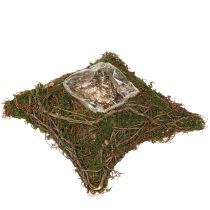 Article Coussin végétal en mousse de vigne naturelle 20 × 20 × 6,5 cm