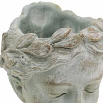Article Buste tête de plante gris-bleu Ø8cm H15cm