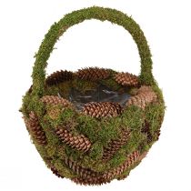 Article Panier à plantes panier à cônes d&#39;épicéa mousse avec anse Ø32cm H42cm