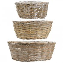 Article Ensemble de 3 paniers en osier, jardinières, paniers décoratifs, style vintage blanchi, Ø 21,5/26/31 cm pour la maison et le jardin