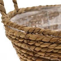 Panier à plantes rond en jonc de mer avec anses panier décoratif Ø25cm H9cm