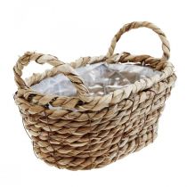 Panier à plantes corbeille en jonc de mer avec anses décoration ovale 23×13×9cm