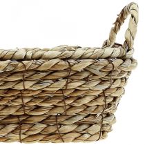 Panier à plantes corbeille en jonc de mer avec anses décoration ovale 23×13×9cm