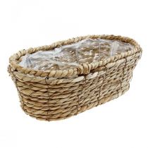 Panier à plantes corbeille en jonc de mer panier décoratif ovale 28×15×10cm