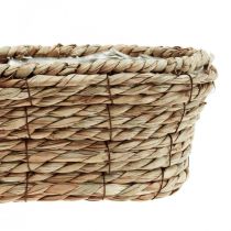 Panier à plantes corbeille en jonc de mer panier décoratif ovale 28×15×10cm