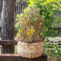 Article Panier à plantes jardinière panier décoratif nature Ø18/23/29cm lot de 3