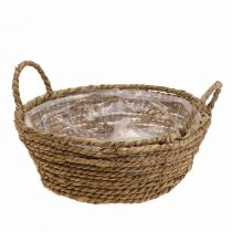 Panier à plantes rond en jonc de mer avec anses panier décoratif Ø25cm H9cm