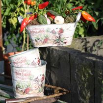 Article Pot de fleurs rond en métal Fresh Garden H21cm