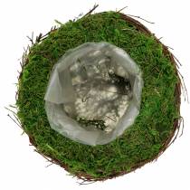 Jardinière rotin, mousse Ø16cm H11cm