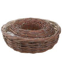 Article Anneau de plantation, bol de plantation, bois, gris naturel, Ø30/35cm, lot de 2.