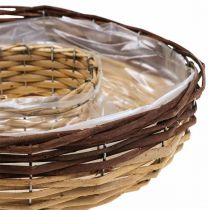 Anneau de plante en saule, bol de plante Ø35/30cm lot de 2