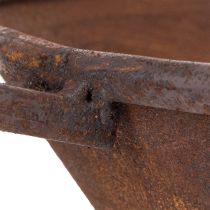 Article Plateau de plantation, bac couleur rouille avec poignée, jardinière en métal, Ø31cm
