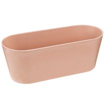 Article Bol à plantes ovale décoratif en plastique rose marron 27×11×10cm 3pcs