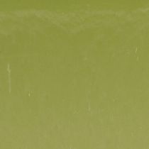 Article Bol à plantes ovale vert plastique 20×10×11cm 3pcs