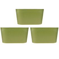 Article Lot de 3 pots de fleurs ovales en plastique vert, 20 x 10 x 11 cm