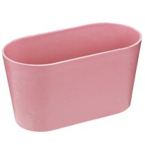 Article Bol à plantes ovale rose bol décoratif plastique 20×10×11cm 3pcs