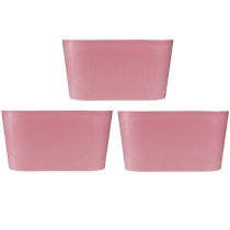 Article Bol à plantes ovale rose bol décoratif plastique 20×10×11cm 3pcs