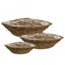 Bol à plantes panier à plantes panier de vigne L35/42/46cm lot de 3