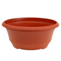 Article Bol à planter en plastique Ø27cm terre cuite 1 pièce
