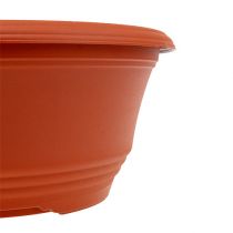 Article Bol à plantes en plastique Ø27cm terre cuite, 1 pièce