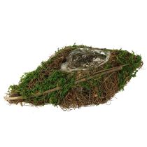 Article Bol de plantation de vignes et de mousse pour bateau 31 × 17 × 6 cm