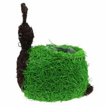 Article Jardinière Escargot Vigne Naturel, Vert 21x14cm H26cm