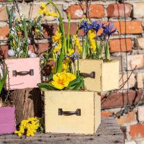 Jardinière bac à plantes bois jaune 12,5/16cm lot de 2
