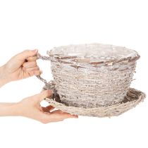 Article Tasse en panier avec soucoupe décorative, grande décoration de table 34 cm
