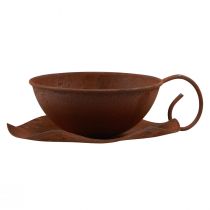 Article Coupe à plantes avec soucoupe vintage rouille Ø17,5cm H6cm