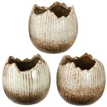 Article Cache-pot en céramique œuf cassé crème marron Ø9,5 cm 3 pièces