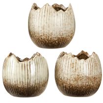 Article Cache-pot en céramique œuf cassé crème marron Ø9,5 cm 3 pièces