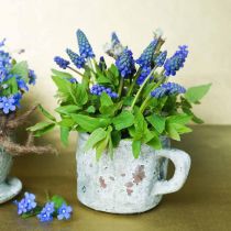 Cache-pot pot de fleurs vintage gris, argile naturelle Ø8,5cm H8cm 4pcs