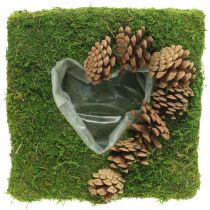 Coussin végétal coeur mousse et cônes carré 25×25cm