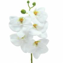 Branche d&#39;orchidée artificielle Phaelaenopsis blanc H49cm