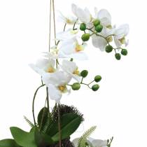 Orchidée avec Boules de Fougère et de Mousse Artificielle Blanche à Suspendre 64cm