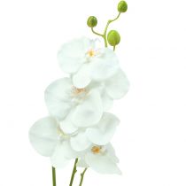Orchidée Phalaenopsis Artificielle Blanc 80cm
