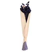 Article Phalaris violette séchée, herbe décorative 50-55 cm, 100 g