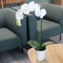Article Orchidée artificielle, d'un réalisme saisissant, idéale pour la décoration de bureau et de salon, 62 cm