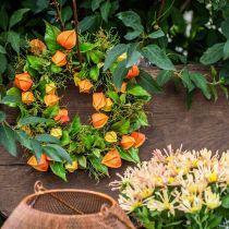 Couronne de Physalis artificielle orange, verte Ø28cm décoration automne